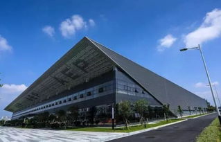 嶺南荔枝熟，最甜在花都——技術服務賦能荔枝產業發展